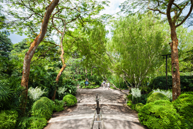 The Ultimate Guide to The Botanical Gardens in Singapore