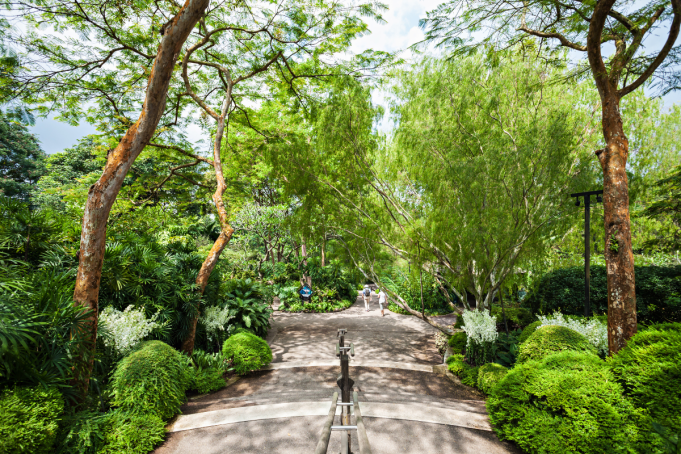 The Ultimate Guide to The Botanical Gardens in Singapore